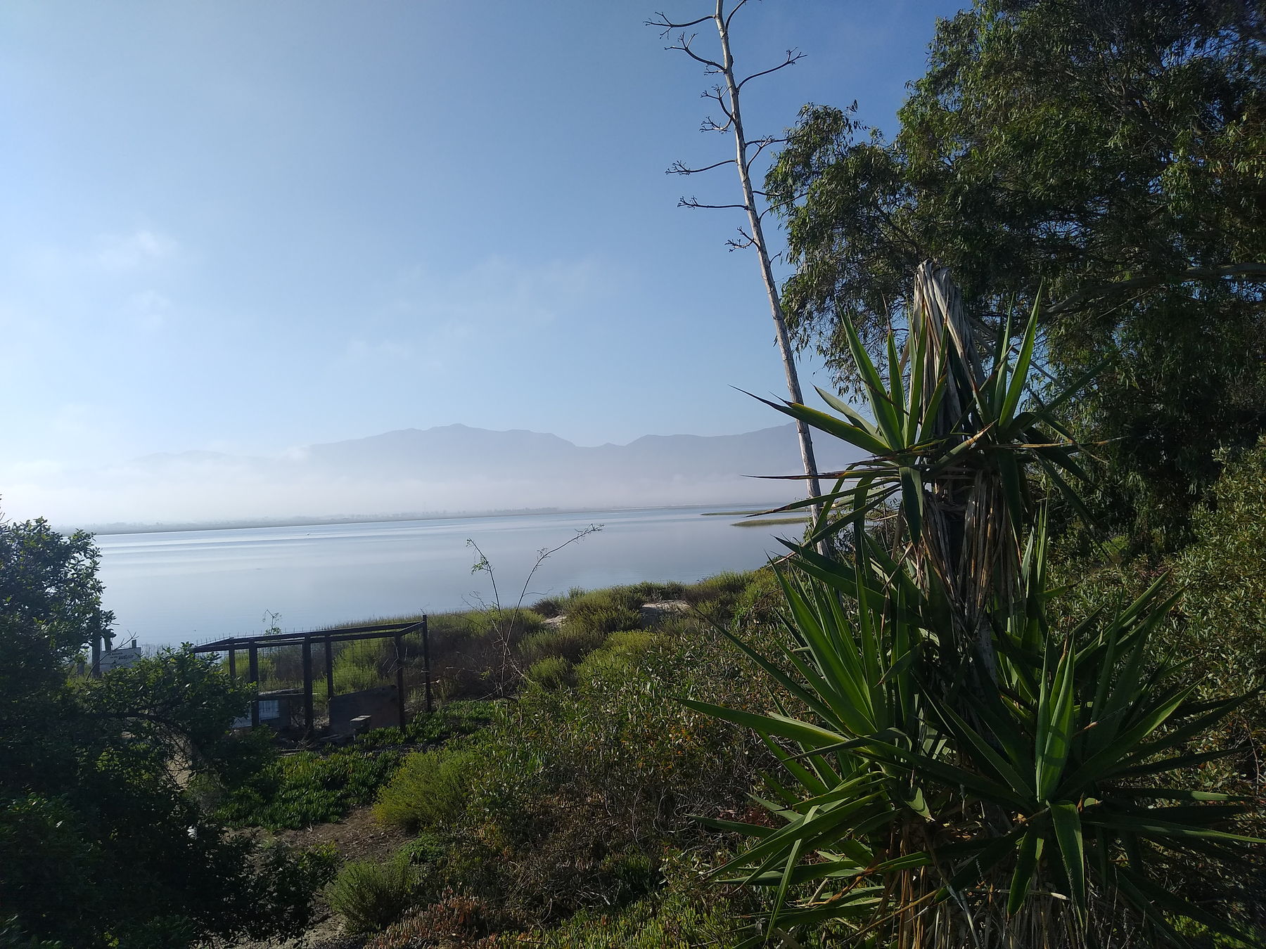 Estero de Ensenada Lagoon and Coastal Residential Developments in Chapultepec